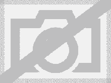 Passivo procura macho dominador